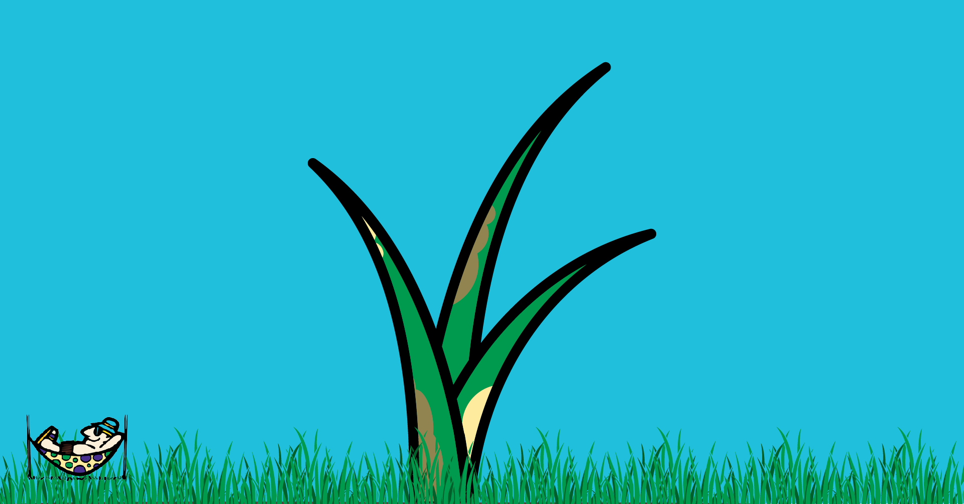 Common Lawn Diseases in Virginia Beach V1_LinkedIn Post
