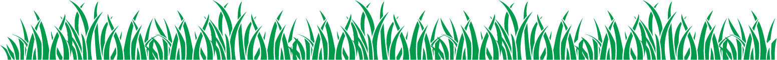 Grass Bottom - Mobile - V1