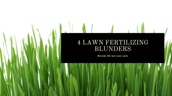 4lawnfertilizingblunders