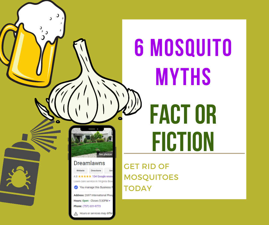 6-mosquito-myths