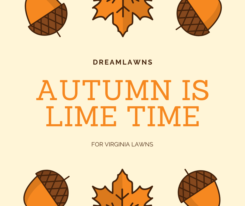 Autumn-is-lime-time