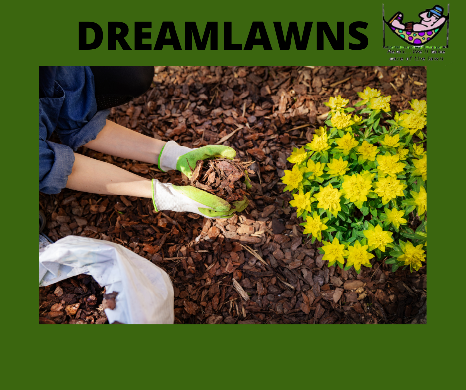 DREAMLAWNSmulch