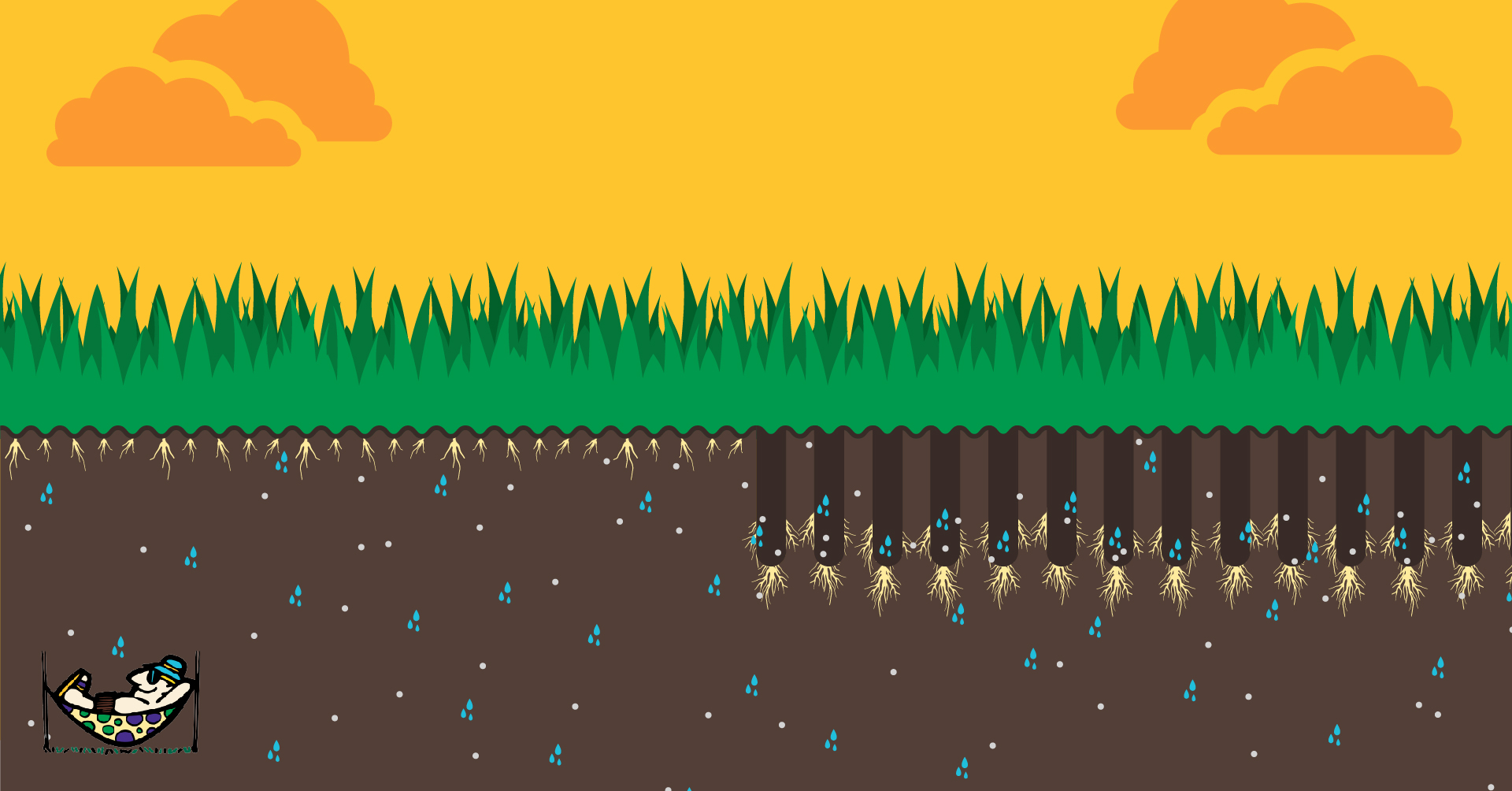 Lawn Aeration v1_LinkedIn Post
