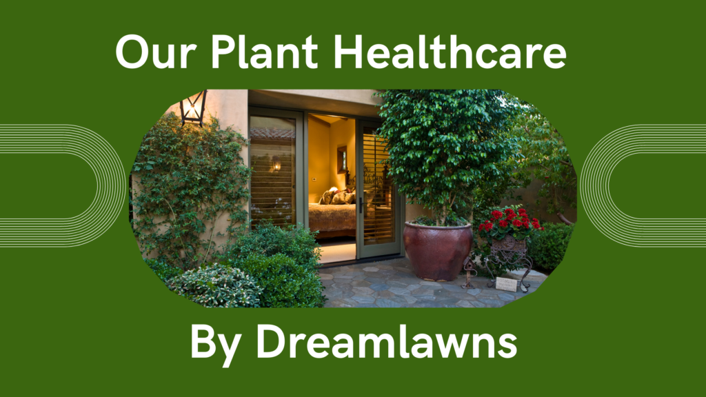 Our-Plant-Healthcare-1024x576