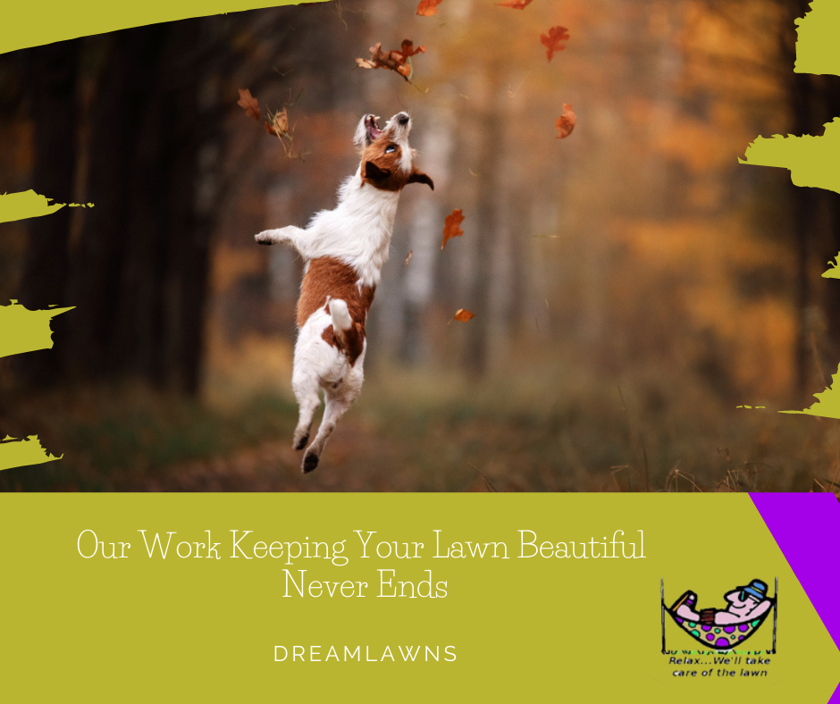 Our-Work-Keeping-Your-Lawn-Beautiful-Never-Ends