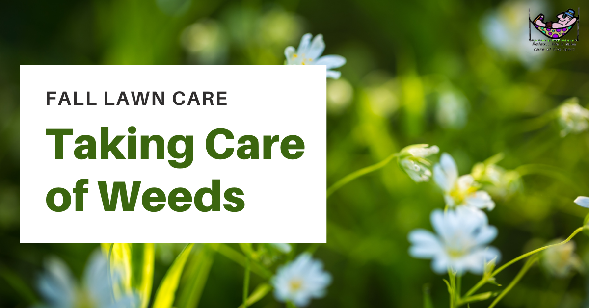 Taking-Care-of-Weeds