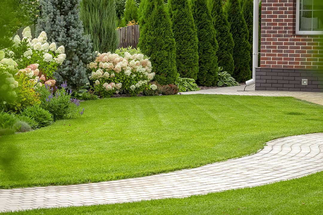 Year-Round Fertilization & Weed Control Program