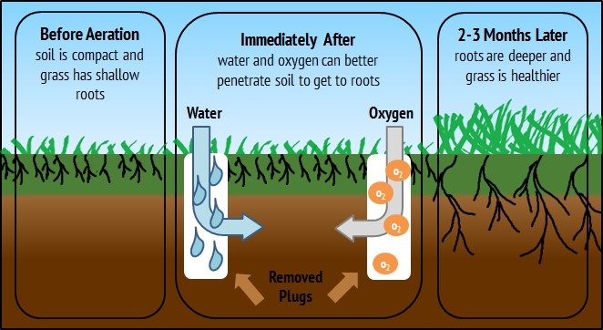 aeration917.2-1