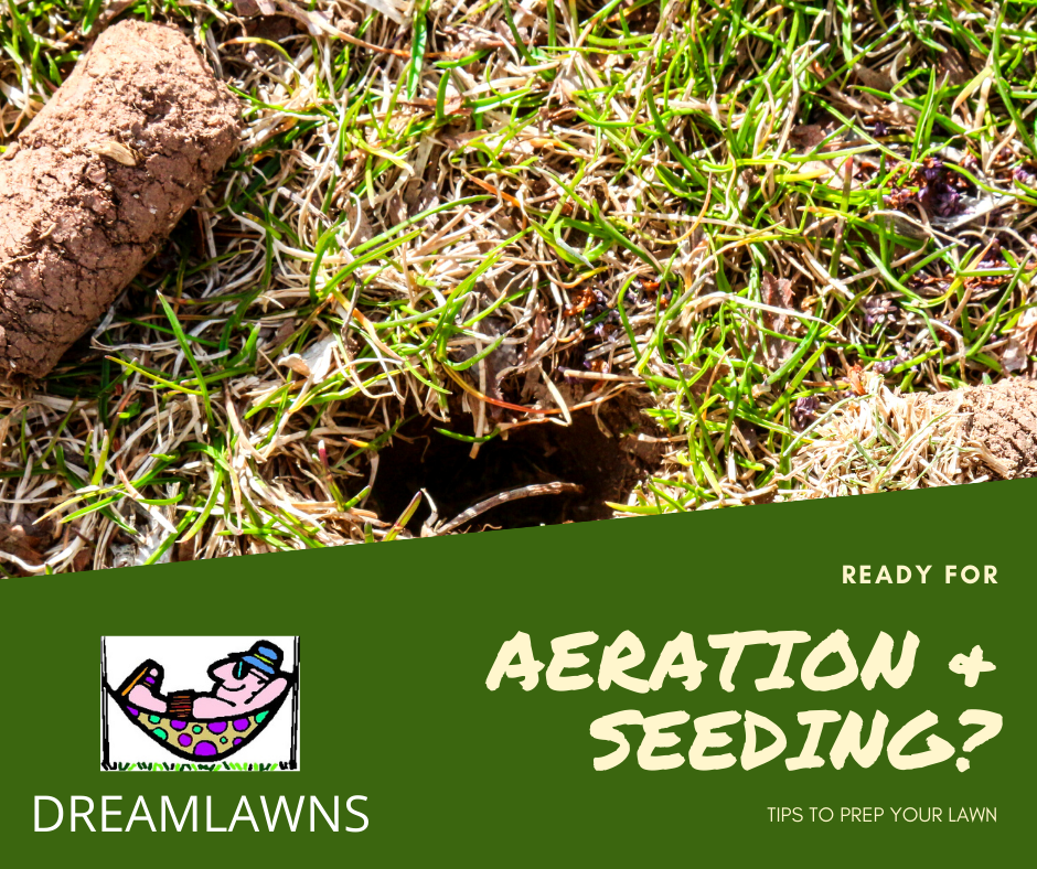 aerationandseeding
