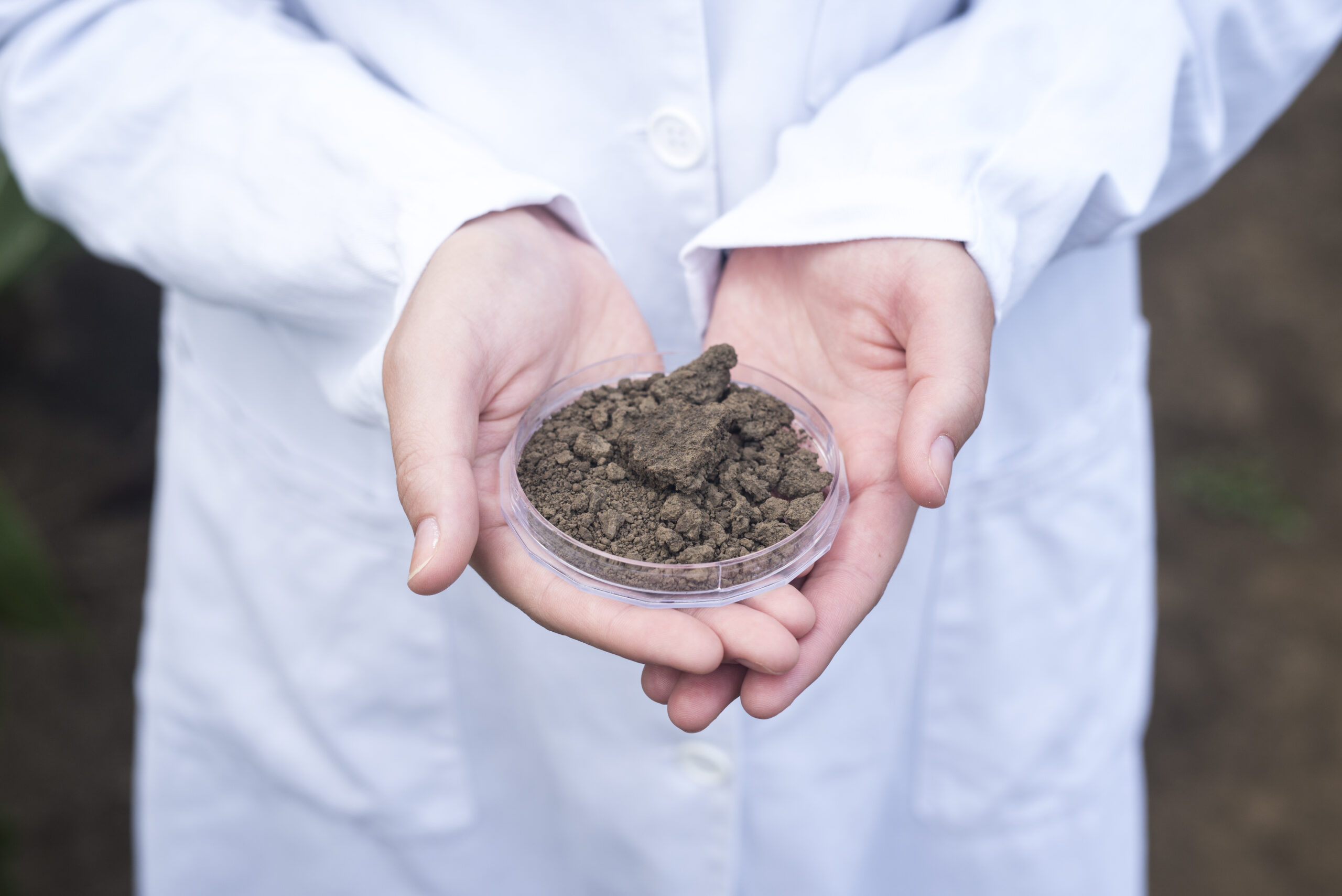 Agronomist hands holding soil for fertility inspection.