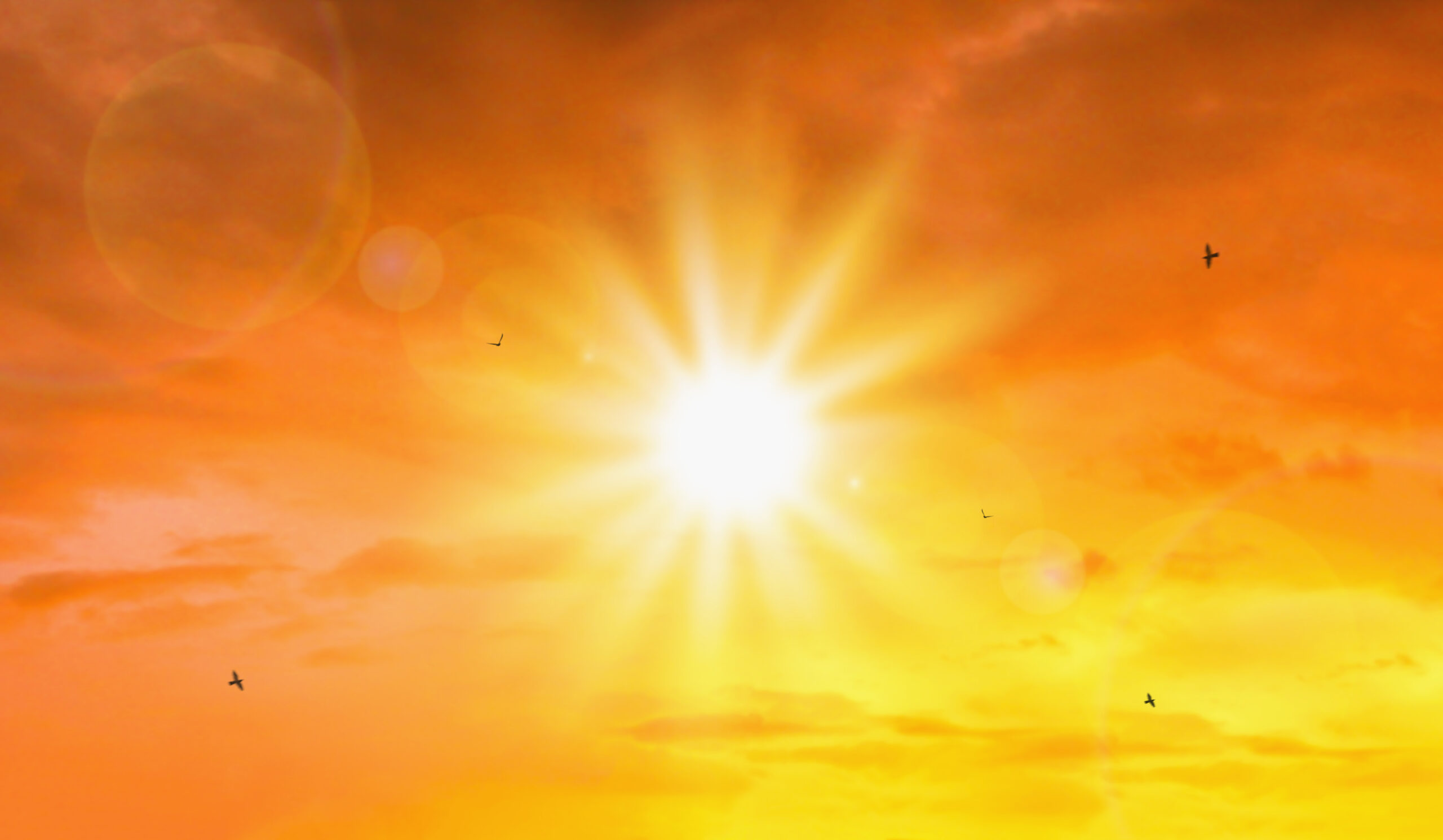 heat-wave-extreme-sun-sky-scaled