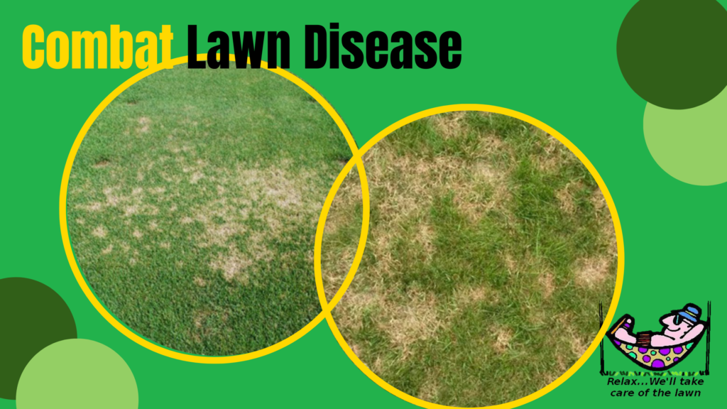 lawndisease-1024x576