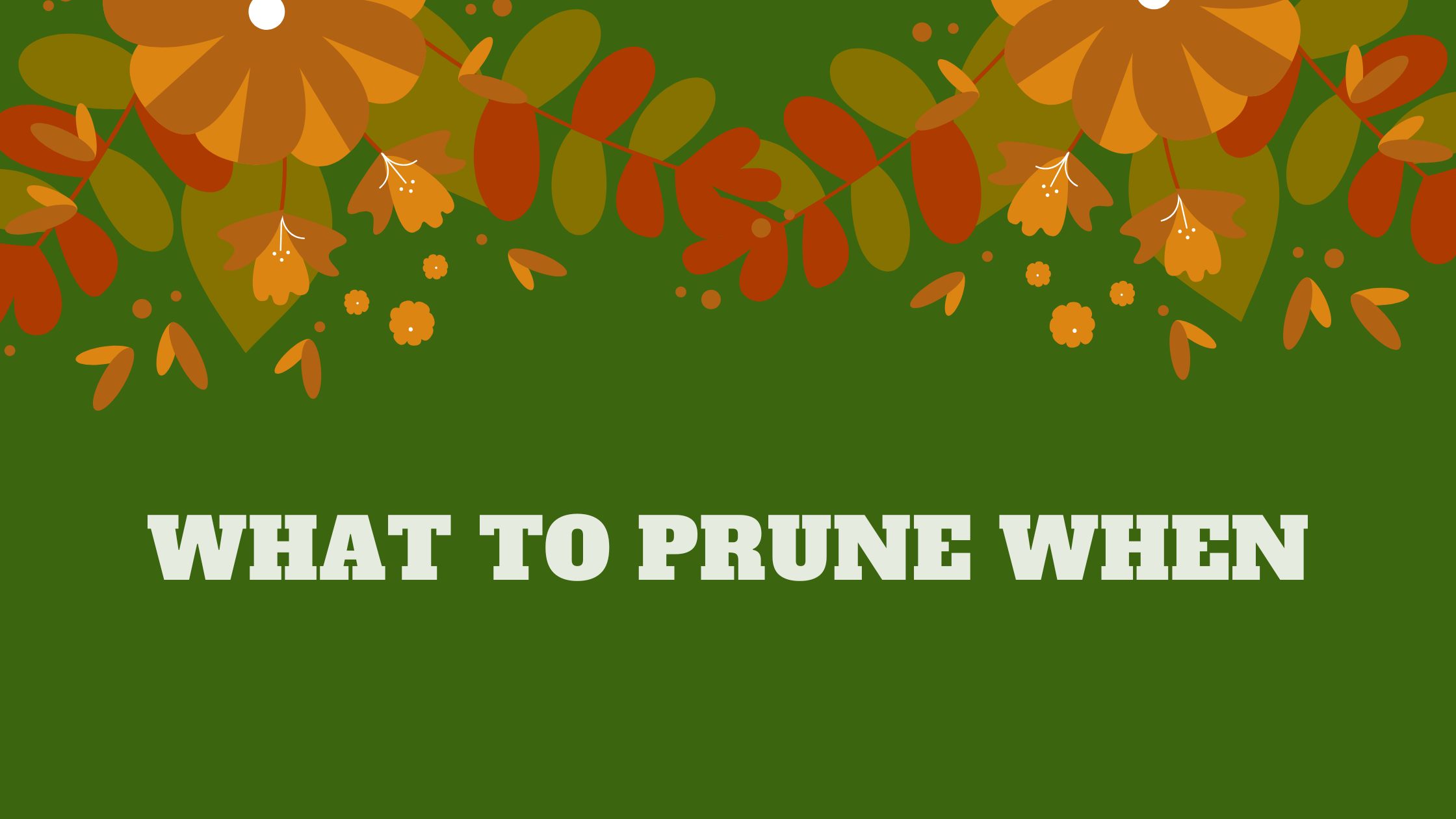 what-to-prune-when