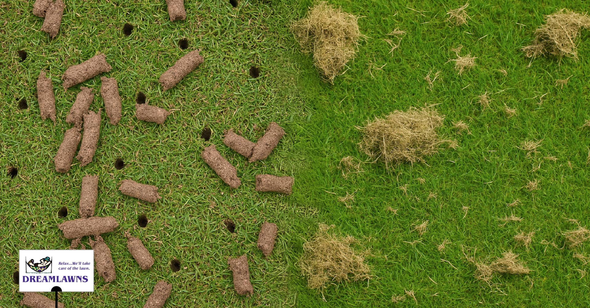 Aeration vs Dethatching V1_LinkedIn Post