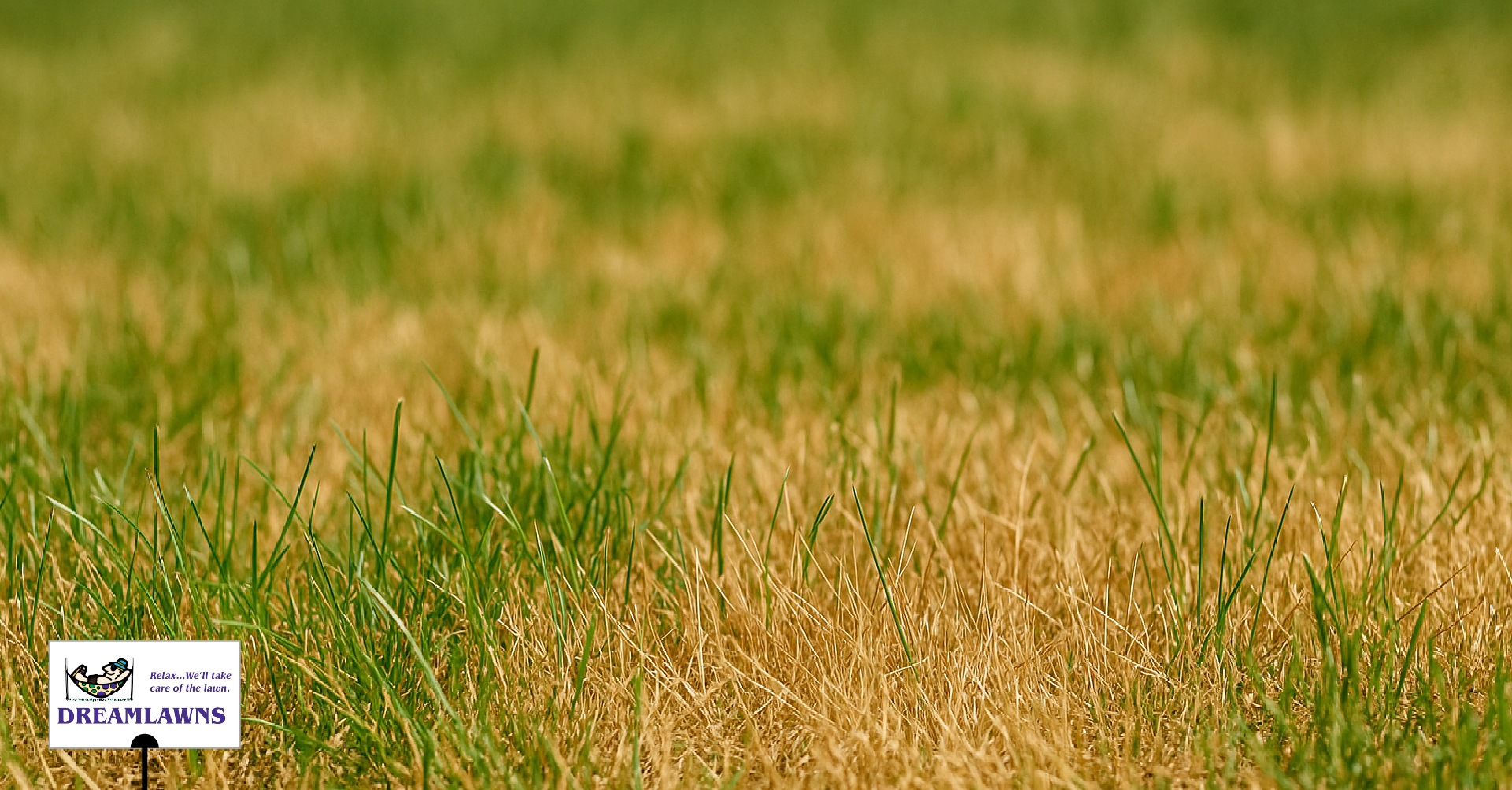 drought stress vs heat stress v1_LinkedIn Post