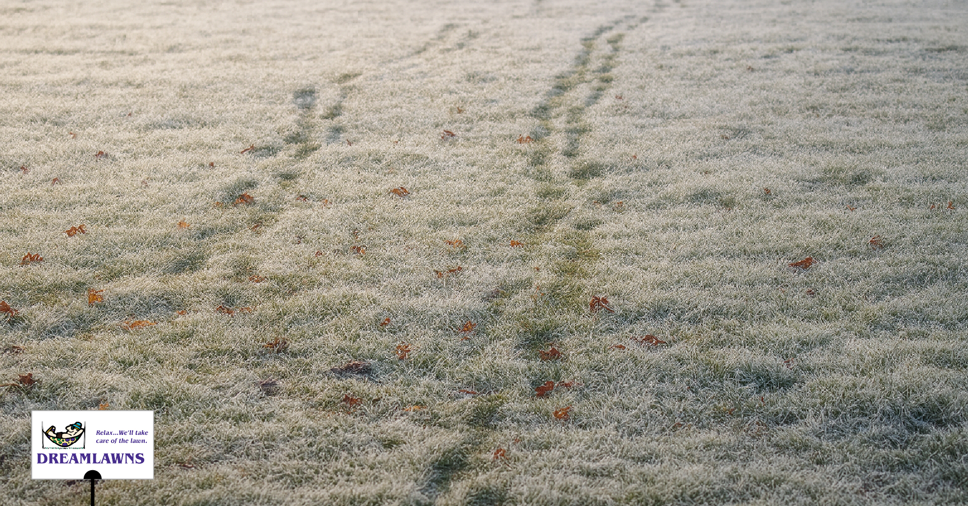Frost Damage V1_LinkedIn Post