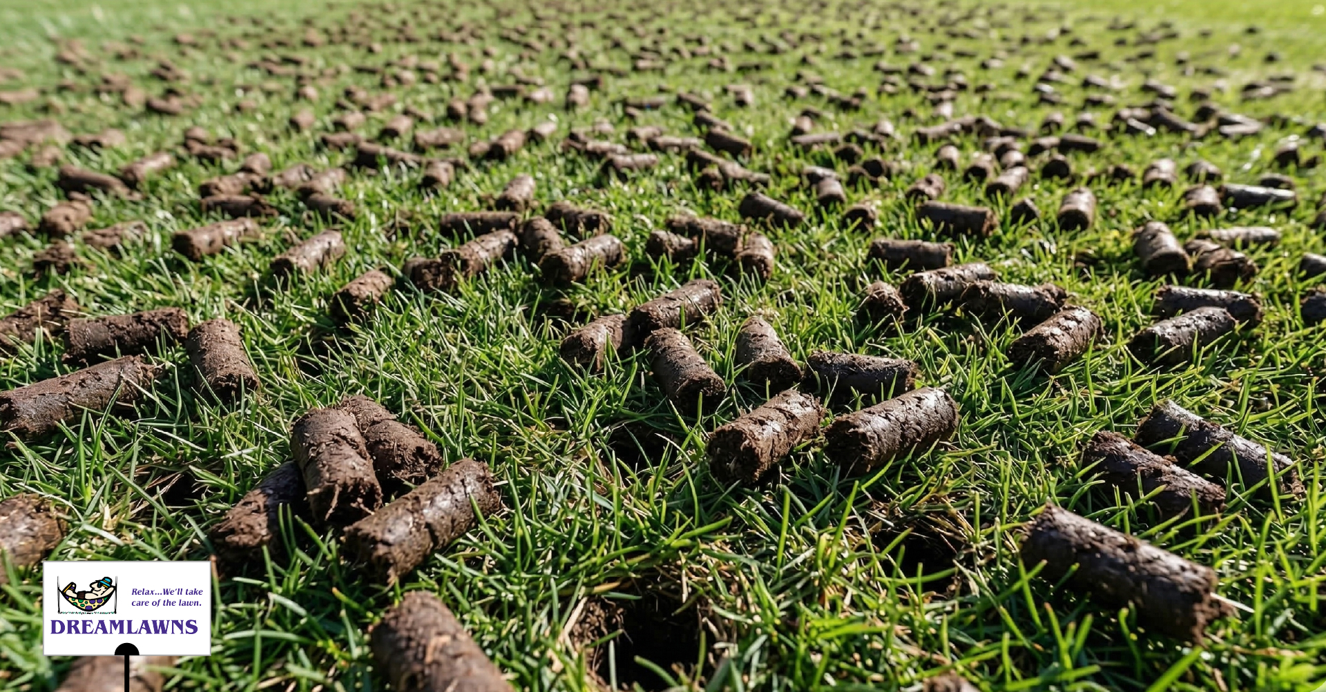 Soil Compaction_LinkedIn Post